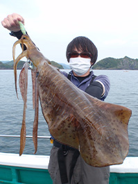 デカイカ　3,400グラム