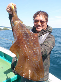 デカイカ　3,400グラム