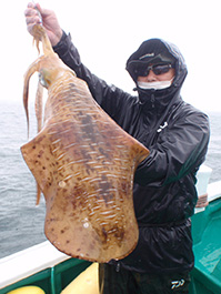 デカイカ　3,400グラム