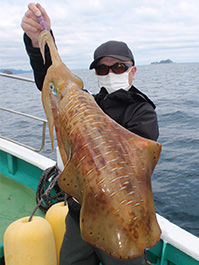 デカイカ　3,390グラム