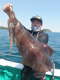 デカイカ　3,340グラム