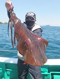 デカイカ　3,310グラム