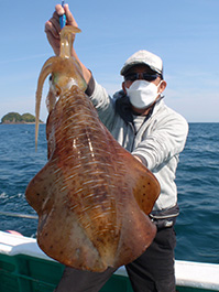 デカイカ　3,300グラム