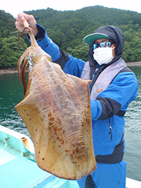 デカイカ　3,290グラム