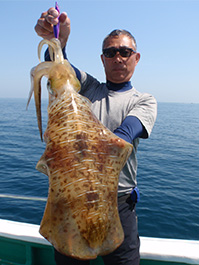 デカイカ　3,020グラム