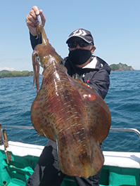 デカイカ　3,020グラム