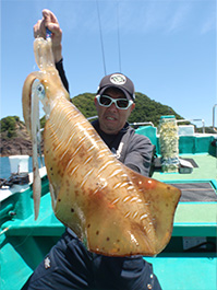 デカイカ　3,810グラム