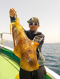 デカイカ　3,280グラム