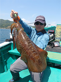 デカイカ　3,100グラム