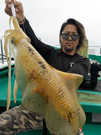 デカイカ　3,600グラム