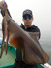 デカイカ　3,550グラム