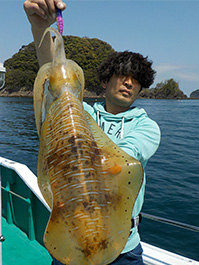 デカイカ　3,550グラム