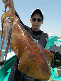 デカイカ　3,550グラム