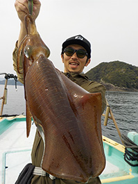 デカイカ　3,550グラム