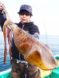 デカイカ　3,520グラム