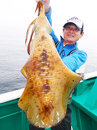 デカイカ　3,500グラム