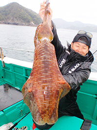 デカイカ　3,490グラム