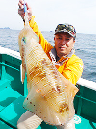 デカイカ　3,310グラム