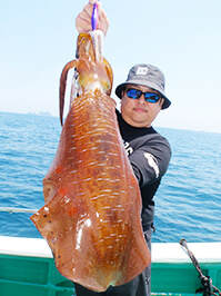 デカイカ　3,160グラム