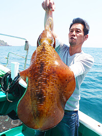 デカイカ　3,010グラム