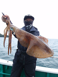 デカイカ　3,310グラム