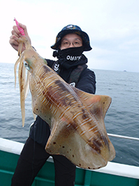 デカイカ　3,700グラム