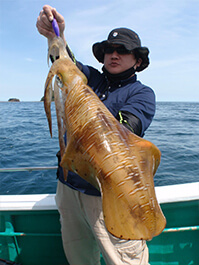 デカイカ　3,500グラム