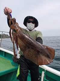 デカイカ　3,490グラム