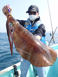 デカイカ　3,480グラム