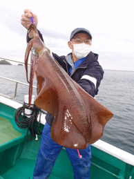 デカイカ　3,400グラム