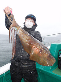 デカイカ　3,400グラム