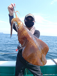 デカイカ　3,200グラム