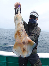 デカイカ　3,200グラム