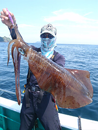 デカイカ　3,180グラム